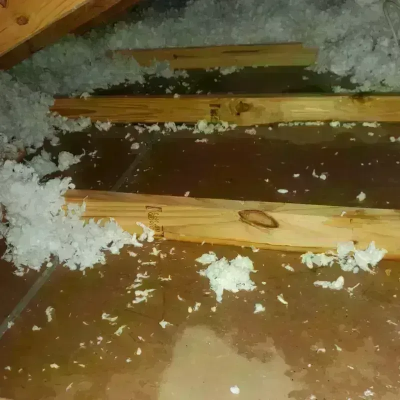 Attic Water Damage in Orocovis, PR